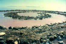 UTSpiralJetty.jpg (289953 bytes)