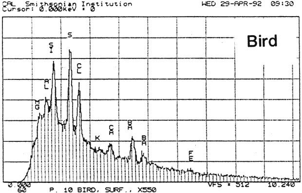 Graph: SEM/EDS