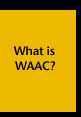 [What is WAAC]