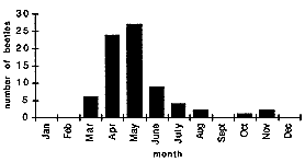 [Bar Graph 2]