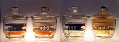 [Photographs of bell jars, at beginning and end of experiment]