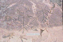 marine varnish on petroglyphs