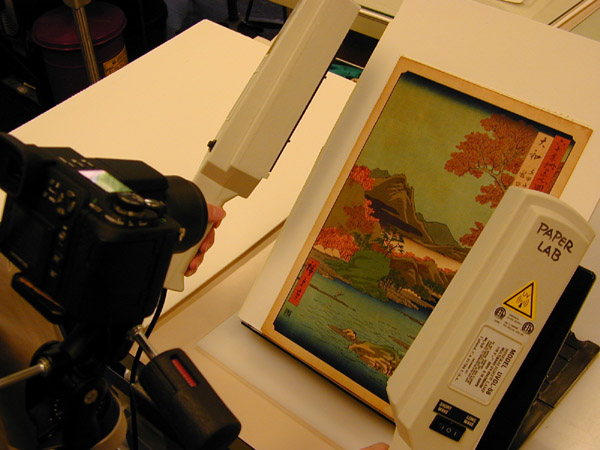 Japanese print examination