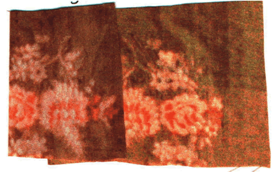 Image of Two colorways of a print (link to larger image)